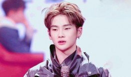 郑源爆料他爸视频播放,揭秘明星背后的家庭生活